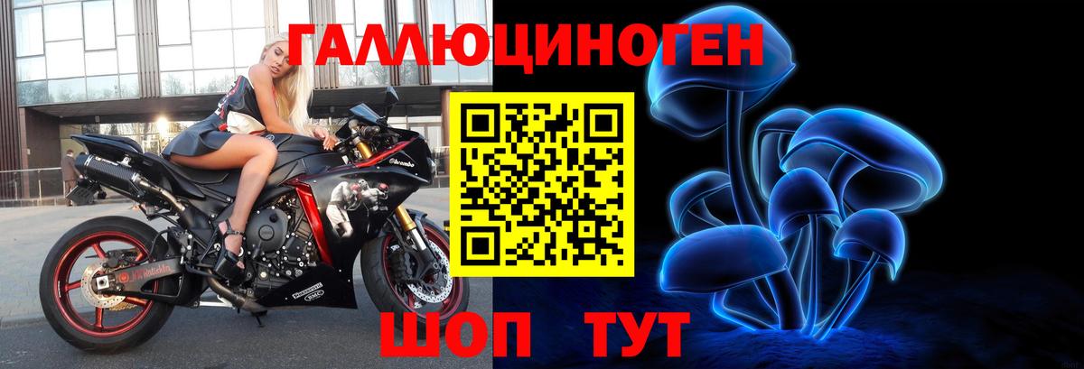 Среднеуральск  Галлюциногенные грибы Psilocybe  Вход с VPN 